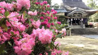【防府市】宇佐八幡宮のアクセス・料金・見どころ・営業時間